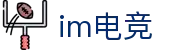 IM(股份有限公司)电竞-电子竞技平台